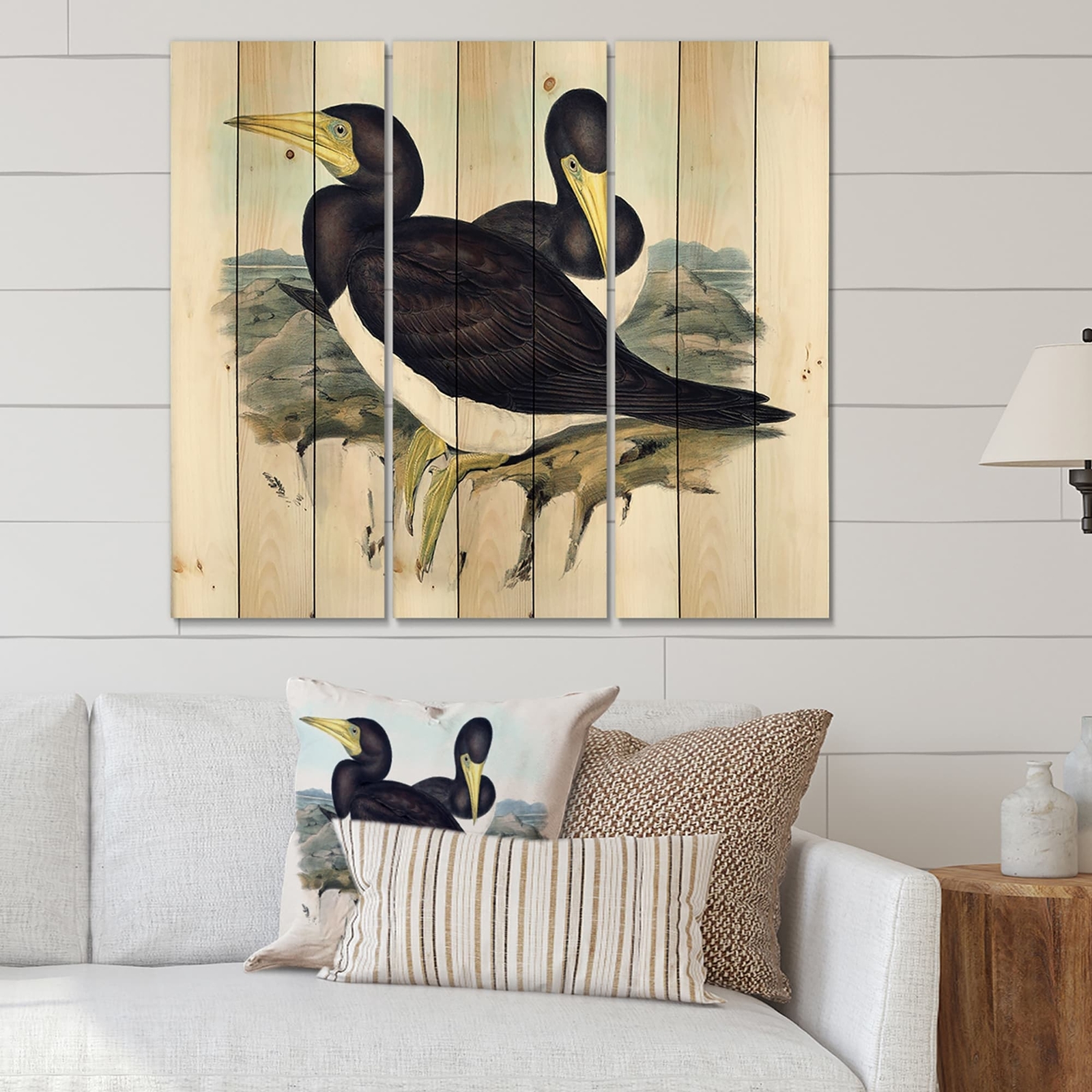 Designart 'Vintage Australian Birds XII' Traditional Print
