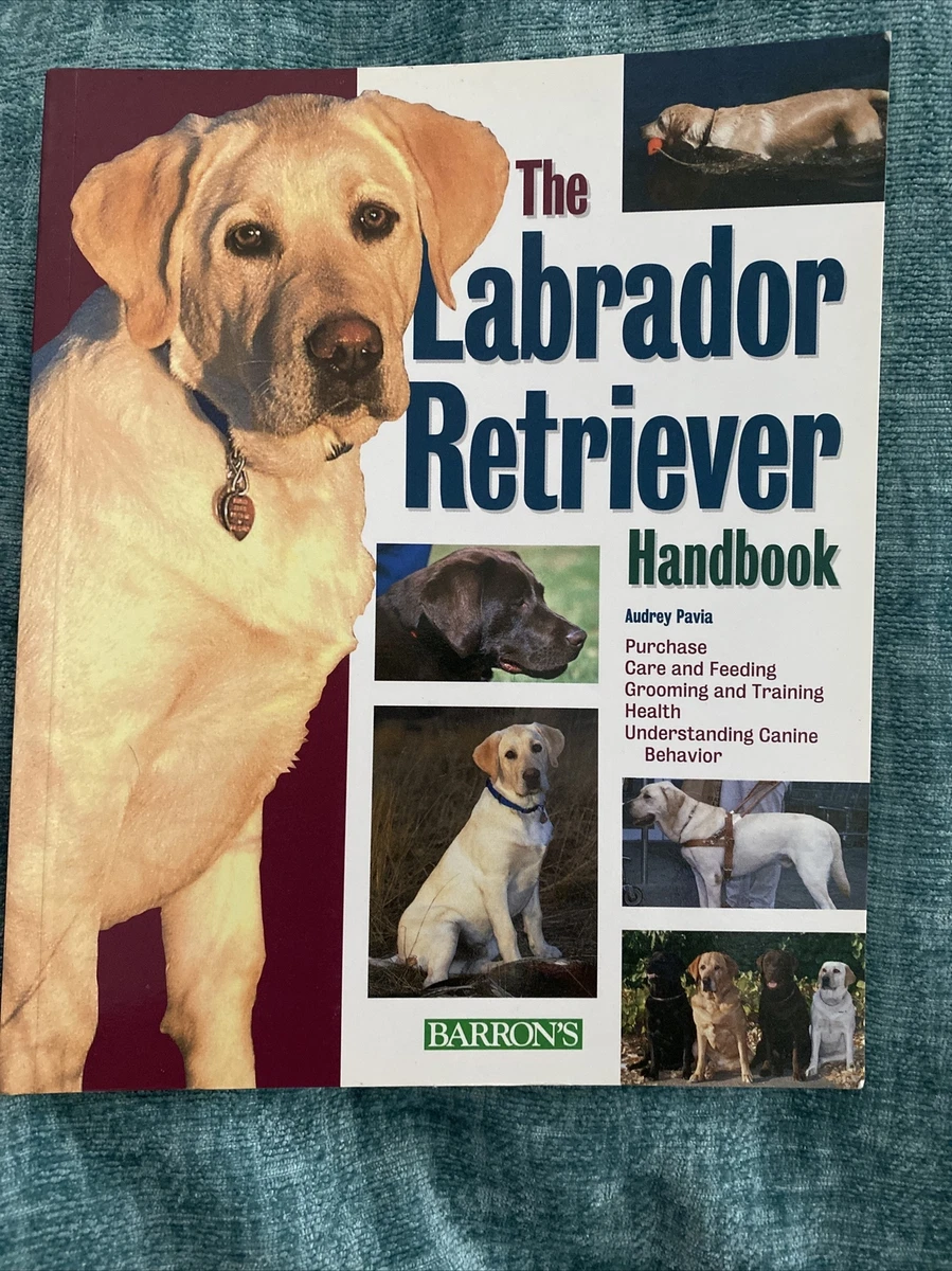 The labrador handbook 2025