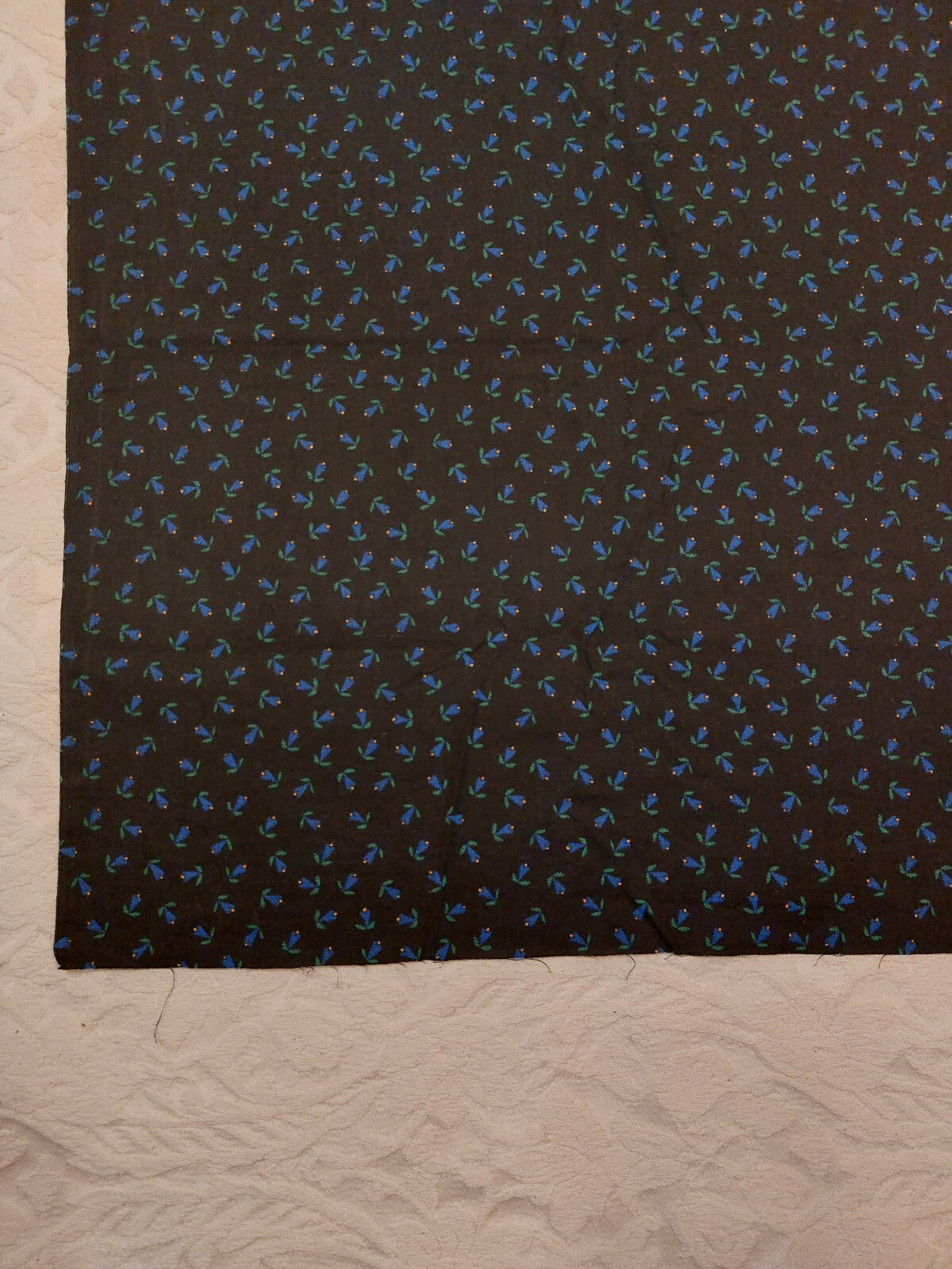 Picture 4 of 7
