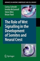 The Role Of Wnt Signalling In The Development Of Somites And Neural Crest Corina