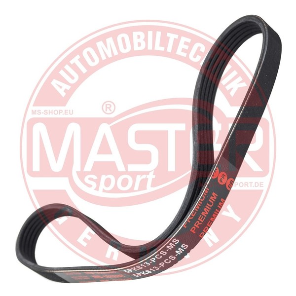 Master-Sport Germany Keilrippenriemen U.A. FüR Alfa Romeo, Bmw, CitroËN-image