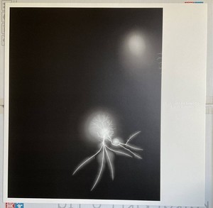 Hiroshi Sugimoto Lightning Field 057 Art Print ED300 Embossed 2008 #008