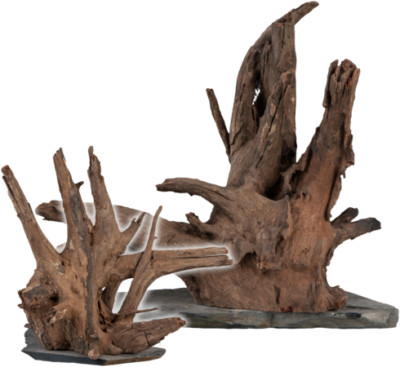 sera Scaper Wood Gr. M 18 - 20 cm Wurzel auf Schieferplatte Naturprodukt
