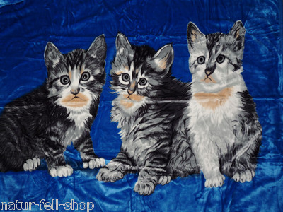 Kuscheldecke Tagesdecke Wohndecke Decke Plaid Katzen Motiv III