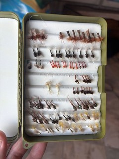 Box of 60 Fly Fishing Flies Assorted Nymphs and Dry Flies