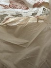 Bild 10 von 11