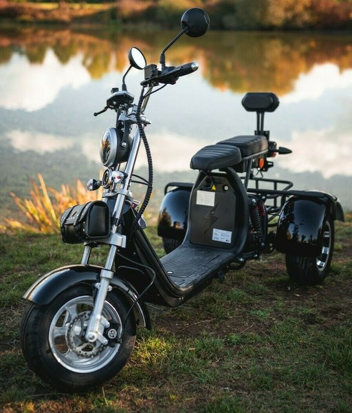 E-Scooter Coco Trike Bike Dreirad 60V 2000 Watt Mit StraßEnzulassung Roller Fun-image