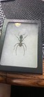 Bild 3 von 13