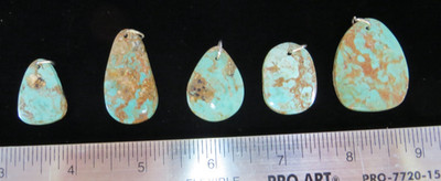 AZ Turquoise Free Form Mixed Cabochon, Stabilized, Lot of 5, 100 ct. drilled