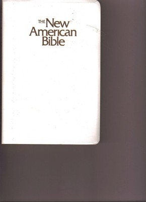The New American Webster Handy College Dictionary: New Third Edition
