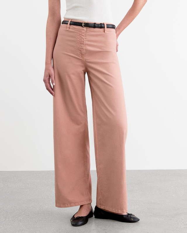Nili Lotan Megan Pant 12 Pink $395 Wide Leg Nwt