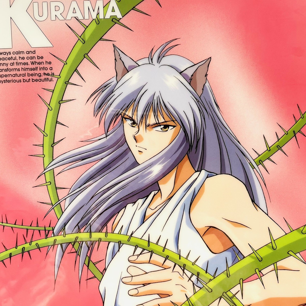 Yu Yu Hakusho SHITAJIKI Plastic Poster YOKO KURAMA B 10