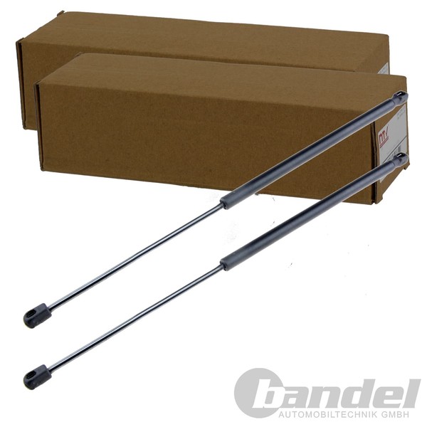 2X NTY Gasfedern KOFFERRAUM-LIFTER Passend FüR Ford Focus | AE-FR-016-image