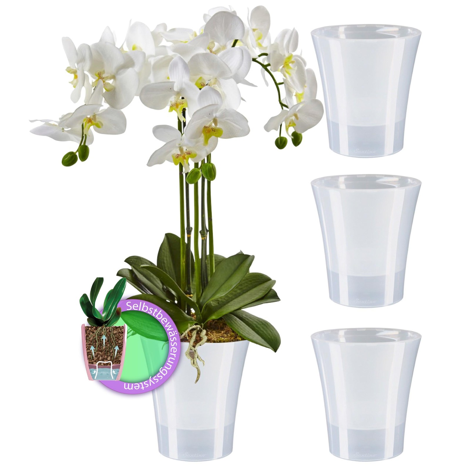 Lot de 4 pots avec système d'arrosage automatique Orchidea transparents de 15cm