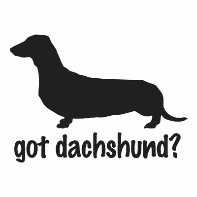 multi colored weiner dog