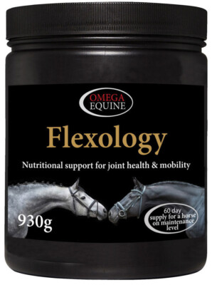 Omega Equine Flexology Gelenkgesundheit & Mobilität MSM HA Glucosamin ASU Ergänzung