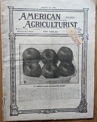 1906 American Agriculturist Weekly California Earthquake  Beet Factory Destroyed