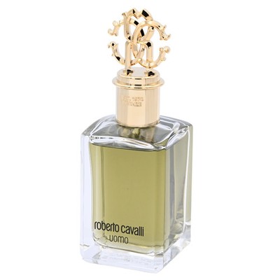 Roberto Cavalli Uomo by Roberto Cavalli cologne Men EDT 3.3 / 3.4