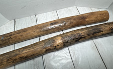 Cactus Rain Stick 19 1/2  Musical Instrument Pre-Owned 2 Rain Sticks