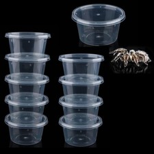 Small Round Acrylic Spider Terrariums Breeding Box Hatching Container 10 PCS