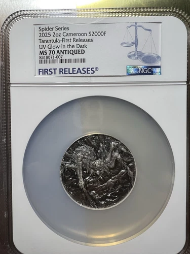 ONLY ONE GRADED MS70 NGC FIRST RELEASE TARANTULA 2 Troy Oz Silver Cameroon 2025!