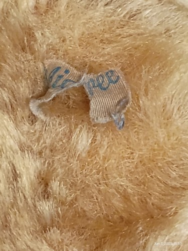 Vintage tagged English Pedigree Mohair Teddy Bear - Picture 4 of 4