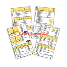 ECG Reference ID Badge Flashcard - Pocket Paramedic Guide for Student Paramedics