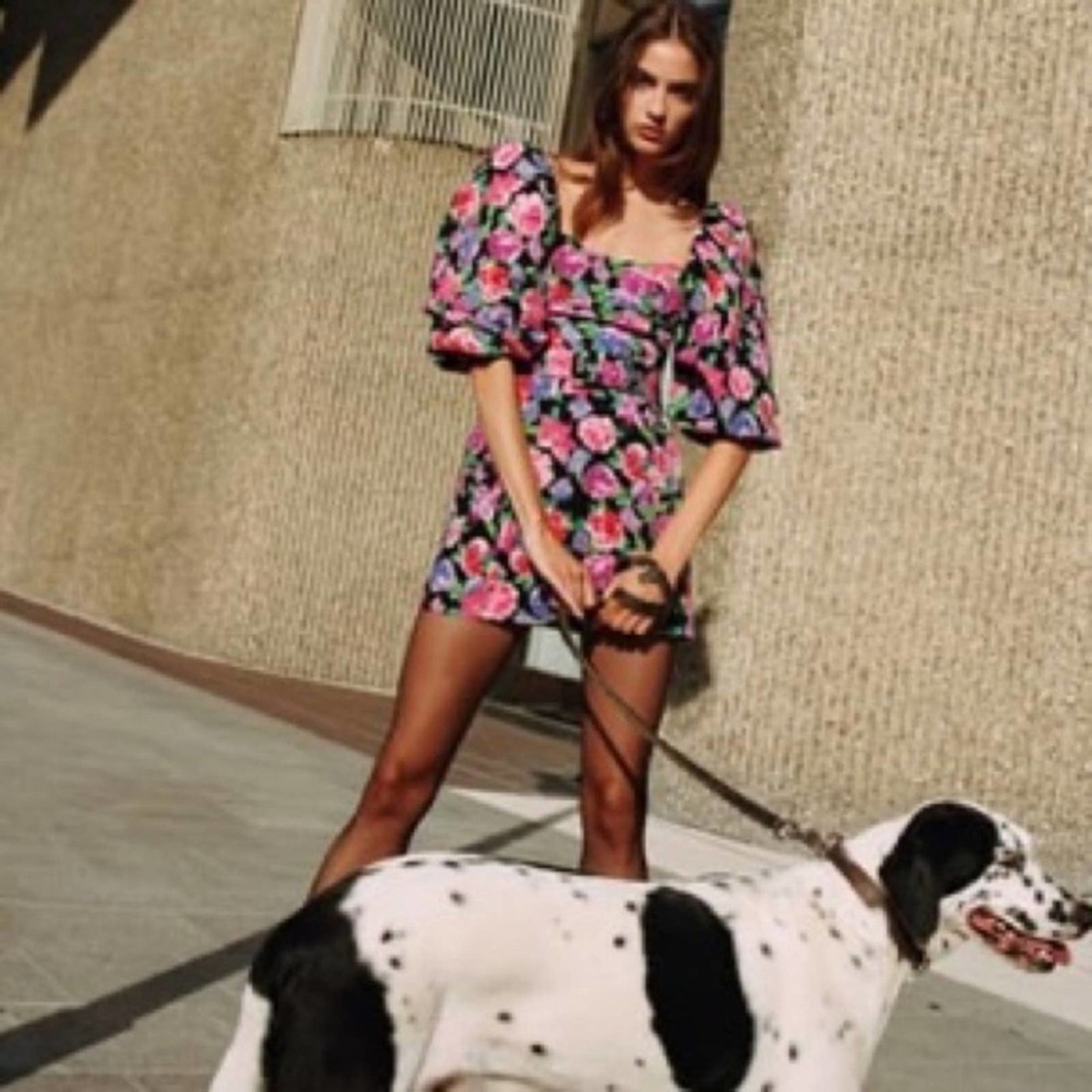 Zara Floral Belted Puff Sleeve Mini Bodycon Dress Size Xs thumbnail 5