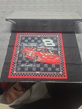 Dale Earnhardt Jr. 8 Nascar Cotton Fabric 19"X17.5" pillow top