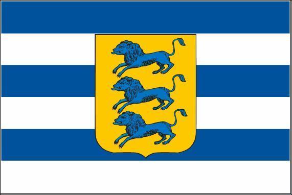 Fahne Flagge Tallinn 80 x 120 cm Bootsflagge Premiumqualität eBay