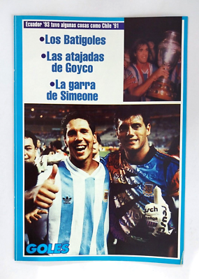 1993 Argentina Football Team Copa America Winner Foldable Poster