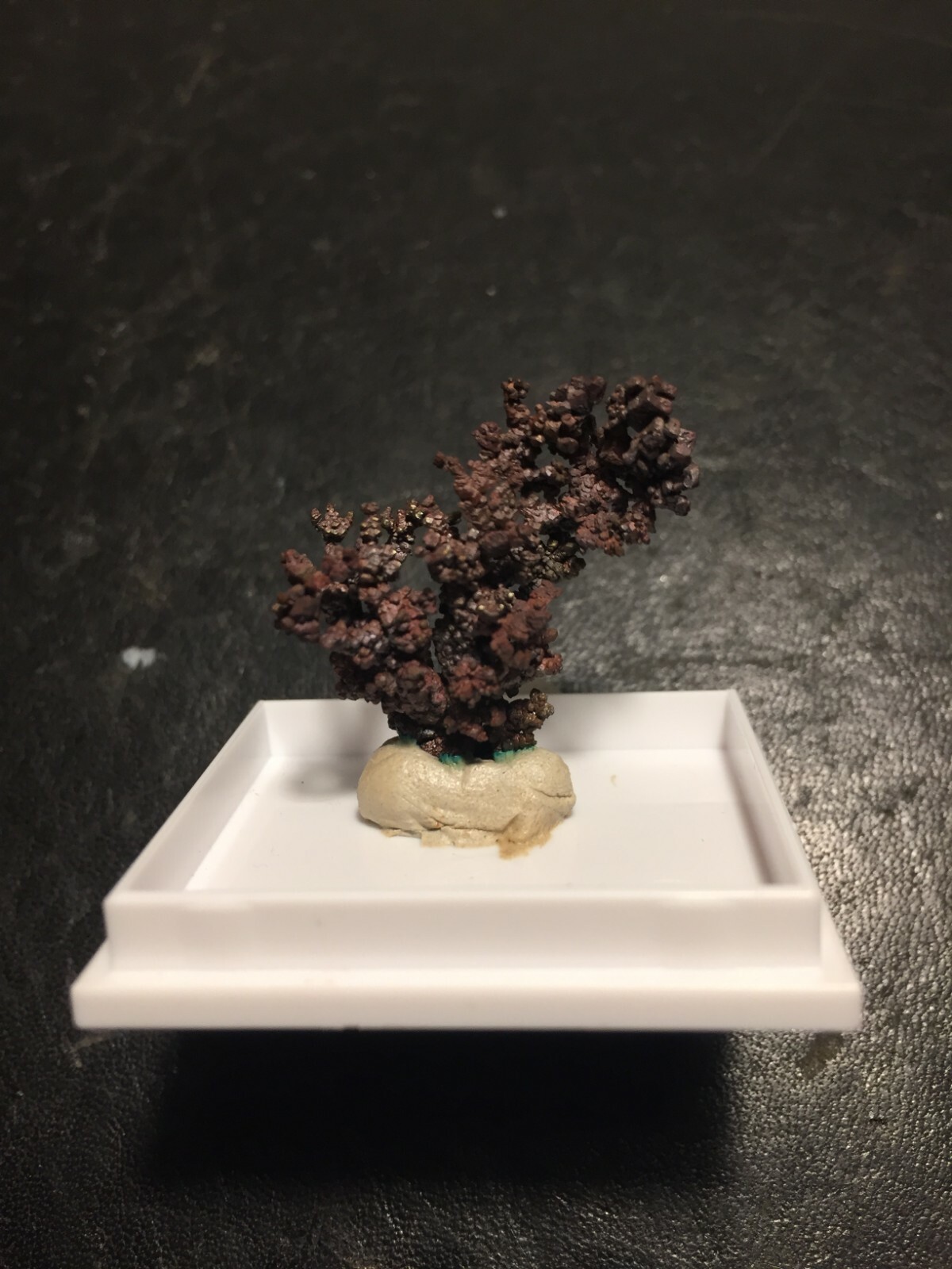 Photo 1/1