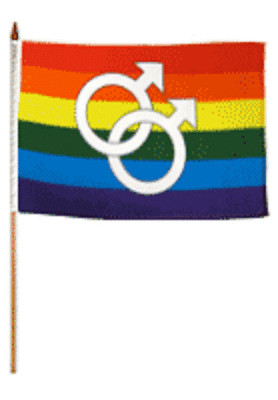 12x18 12"x18" Gay Pride Double Mars Stick Flag wood staff | eBay