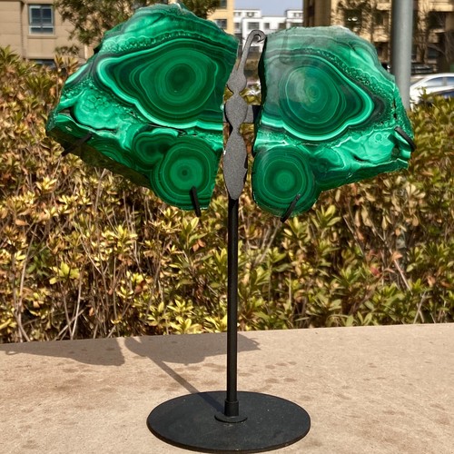 1.54LB Natural malachite Carved Butterfly Wings,Crystal wings Reiki + free Stand - 第 7/12 張圖片