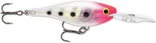 Rapala Glass Shad Rap 5/16 oz Size 2" Crankbait