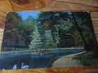 FLENSBURG SWAN POND IN THE MARIENHÖLZUNG POSTCARD 1929 TO BERLIN