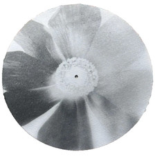 Exclusive Ariana Grande Petal Vinyl Record Slipmat Merch Promo Swag