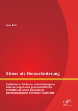 Stress als Herausforderung: Individuelle Fakt...