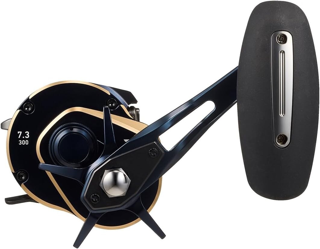 Daiwa 25 SALTIGA 300H Right Handed Saltwater Jigging Fishing Reel