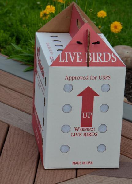 10 Pack FeatherEx Live Bird Boxes for Chicken Duck Poultry Pheasant for sale online