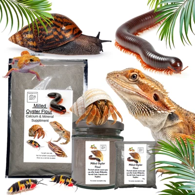 BUGZNBITS Milled Oyster Flour Organic Calcium Supplement Snails Tortoises Reptiles 200g