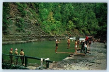 1960 Dansville New York Postcard Stoneybrook State Park Recreational Areas