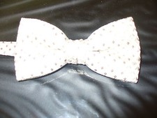USED Bow Tie - Champayne Enchantment B574
