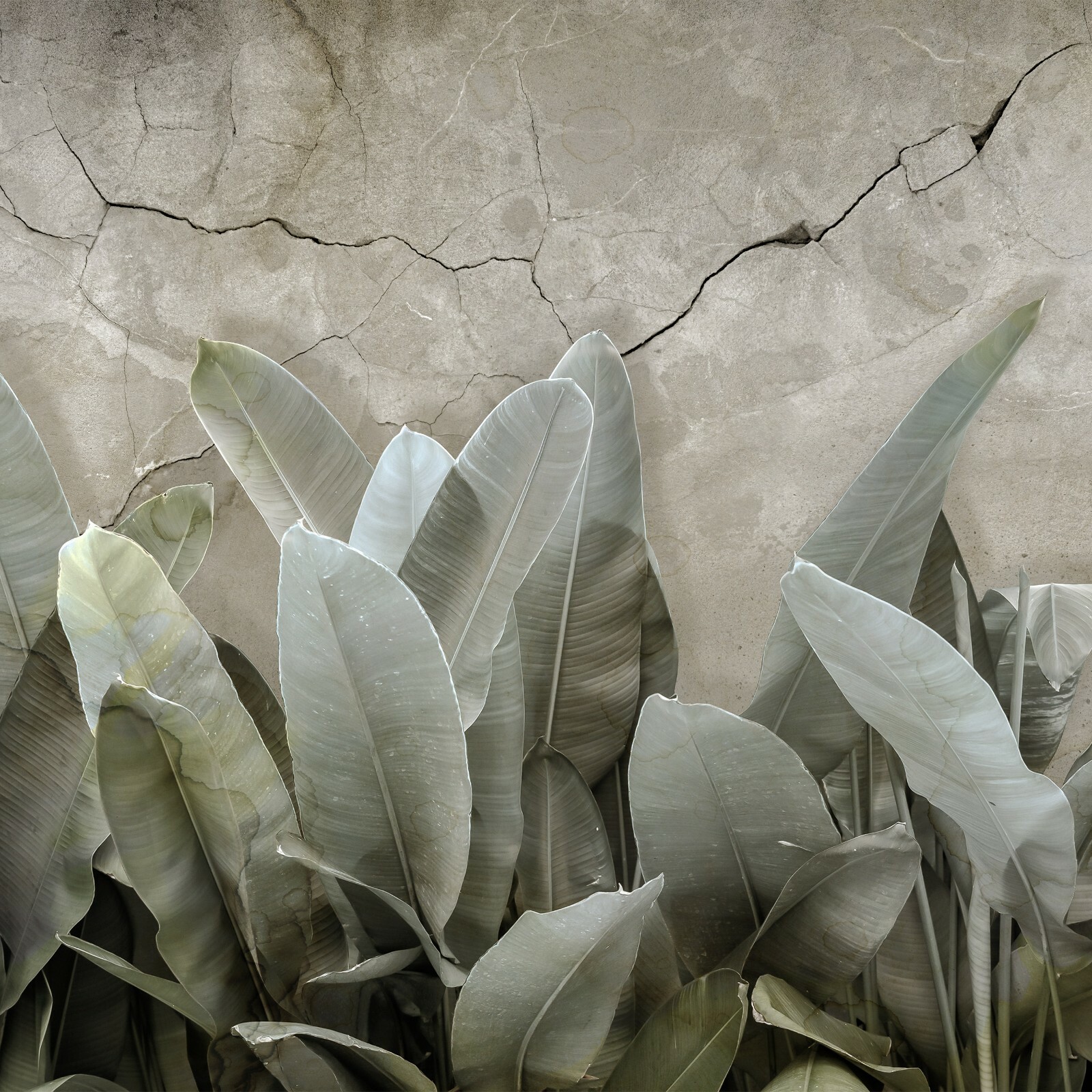 Fotomural Papel Pintado VELLÓN Estructura Hojas Exótico Botánico Palm Loft FW13945VE