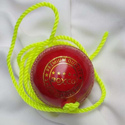 BOXCO Cricket Leather Hanging Ball for Practice, Standard Size