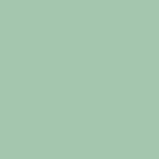 SEAFOAM GREEN SOLID Confetti Cotton by Riley Blake Quilting Fabric