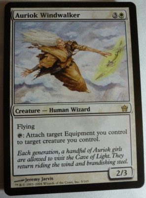 Magic The Gathering Auriok Windwalker Fifth Dawn #5 LP/NM inv1