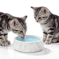 Marble Pet Bowl Set: Large Capacity for Small Medium Dogs - White Durable
