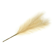 Occasions Pampas Grass: Stem: 1 Piece 50cm Tall Fluffy Artificial Dried Flower