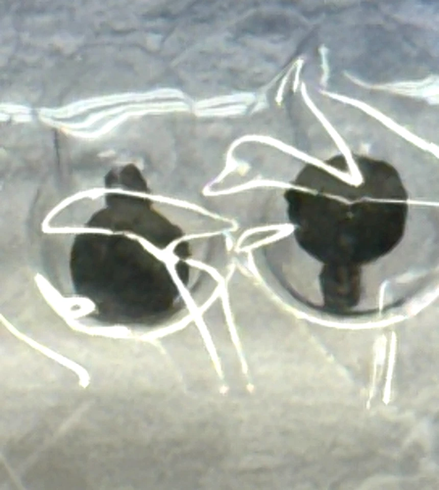 2011 HALO 10 Years McFarlane Toys Action Figure - MASTER CHIEF (Sealed) Green - Image 4 of 4